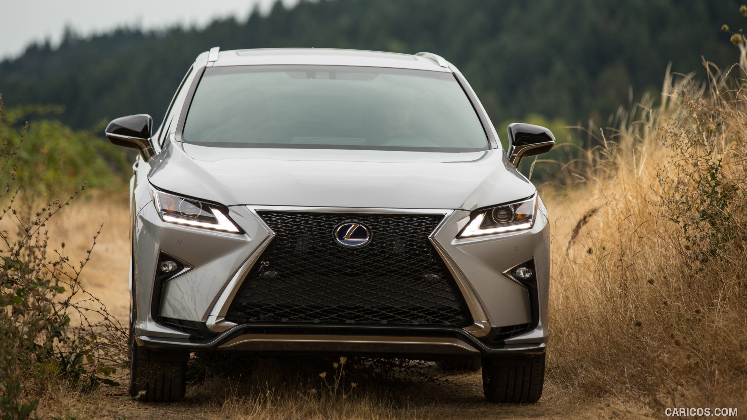 Harrier и lexus